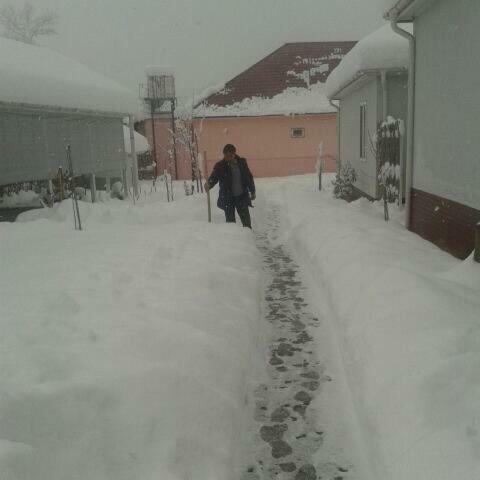 Gabala Homes Musa