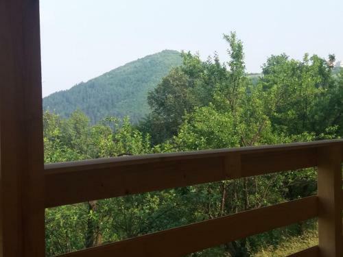 Apartments In Nature