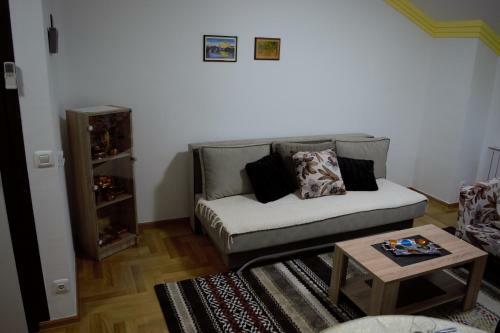 Noble Apartment
