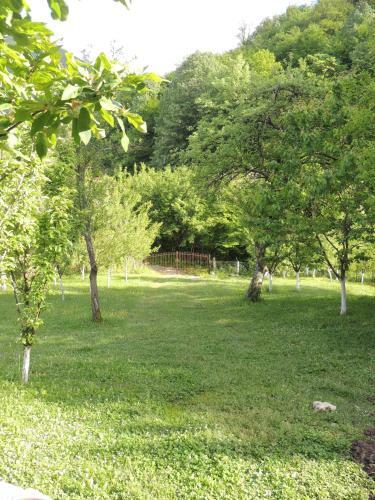 Holiday Home Green Hill