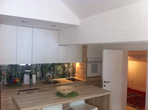 Apartment Vlasic