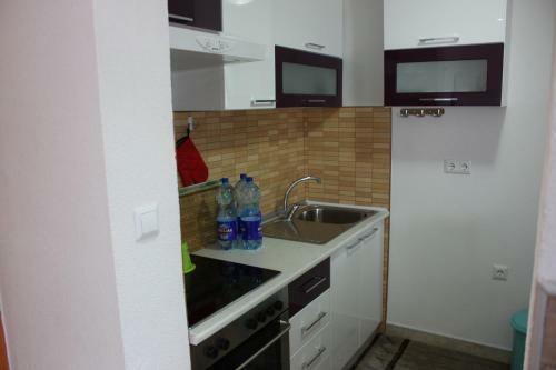 Apartments Zoni