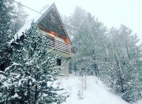 Lodge Cabin Ruji?te