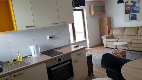 New Age Apartments Vla?i?