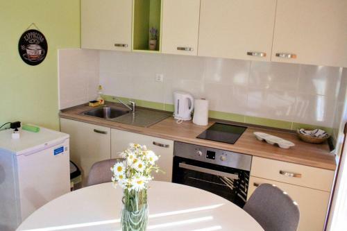 New Age Apartments Vla?i?