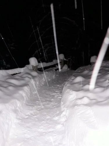 Vikendica Vu?ko, Vla?i?