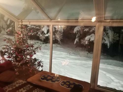 Apartamento Vikendica Na Vla?i?u Du?ica