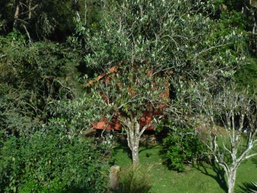 Lodge Espa�o Koyro Bier