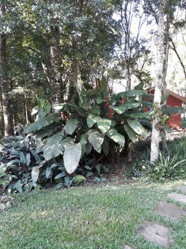 Ch�cara Flor De Iris