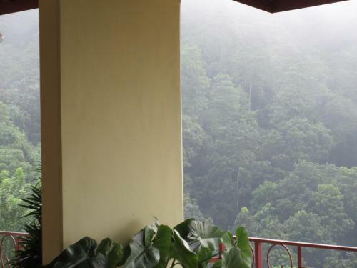 Hotel Nature Walk Resort