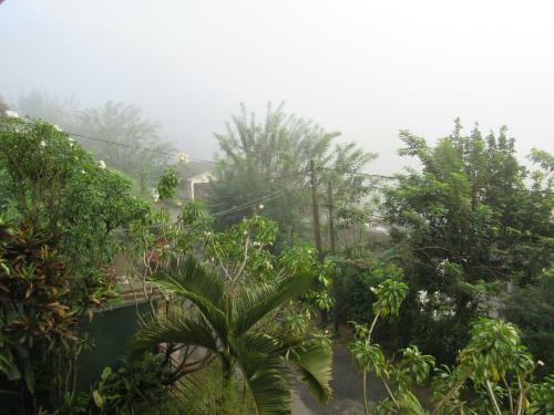Hotel Nature Walk Resort