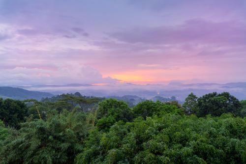 Hotel Amaya Hills Kandy
