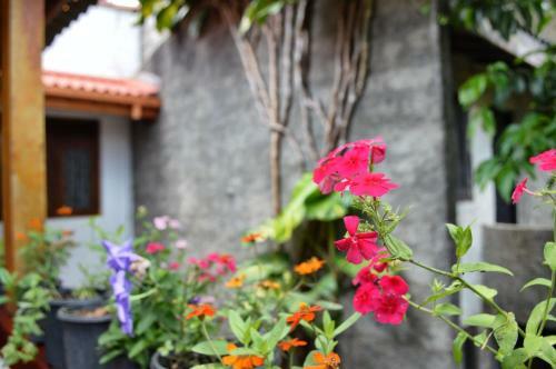Apartamento Hantana Home Stay