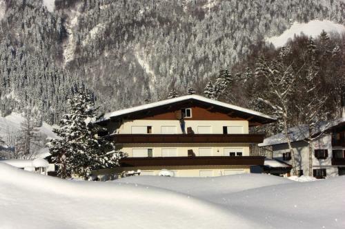 Apartamento Tirolerhaus