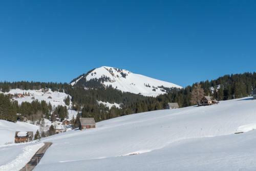Apartamento Chalet Gschwend
