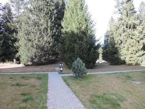 Apartamento Seegarten A (361 Ku)