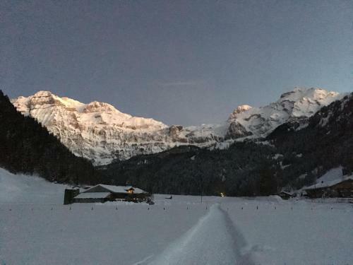 Apartment Gwunderst�bli