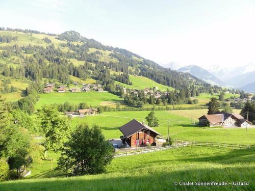Apartment Sonnenfreude, Chalet
