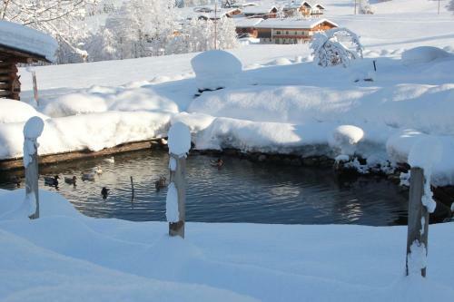 Apartamento Feriendorf Wildsch�nau