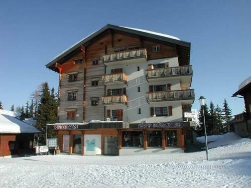 Apartment Sportina 22