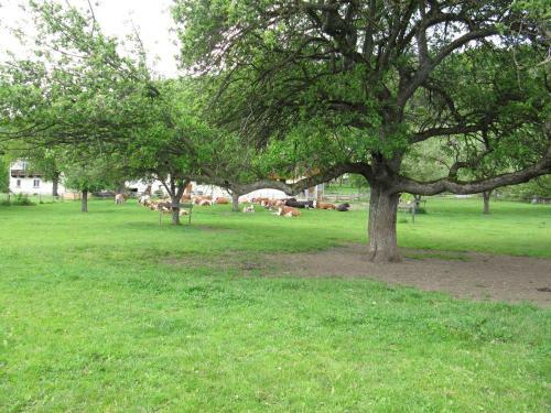 Apartamento Donisbauerhof