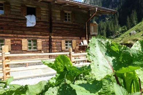 Lacknerbrunn Astl | Alm Im Stilluptal
