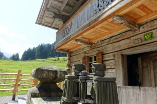 Lacknerbrunn Astl | Alm Im Stilluptal