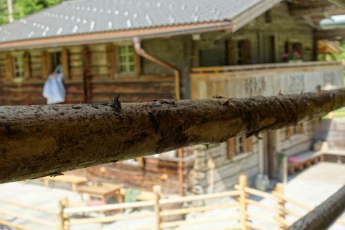 Lacknerbrunn Astl | Alm Im Stilluptal