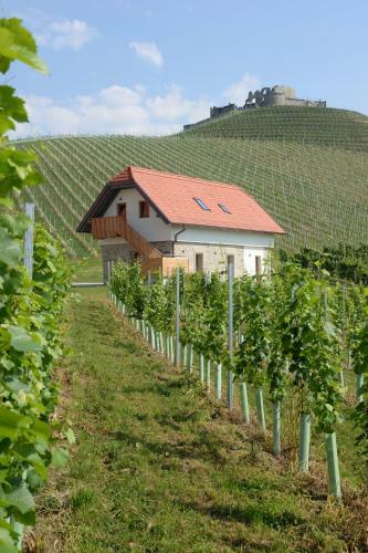 Hotel Weingut Taggenbrunn