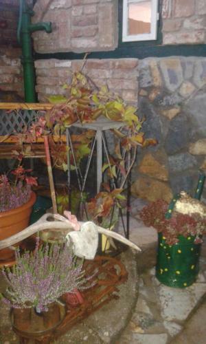 Bed & Breakfast G�stezimmer Gerlinde