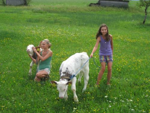 Ferienh�tte Wolfgangsee