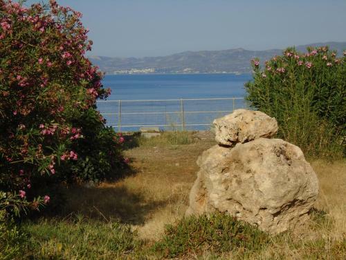 Aparthotel Hotel Ziakis