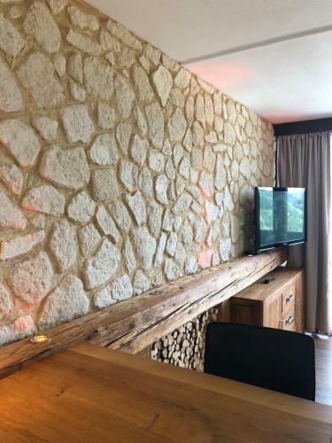 Alpine Studio Apartment - Dachstein Mountain View