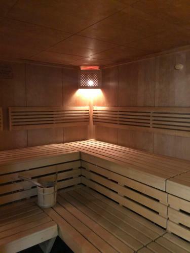 Alpine Studio Apartment - Dachstein Mountain View