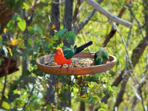 Corang River Bed And Breakfast