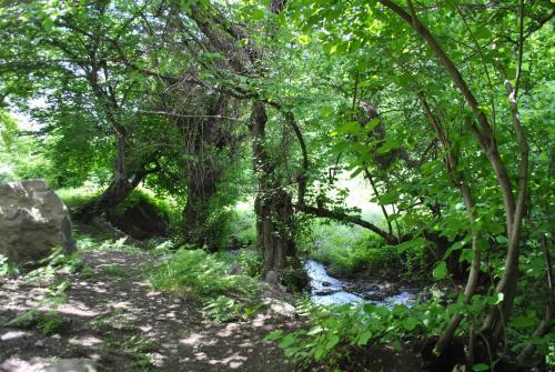 Talistan Forest Park