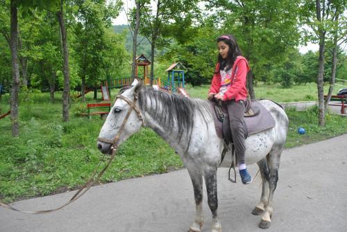 Talistan Forest Park