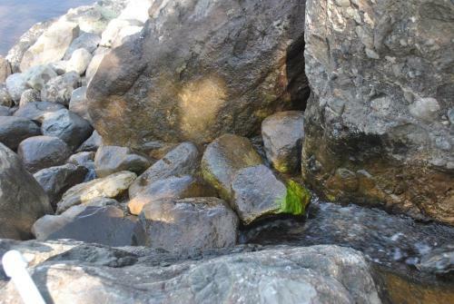 Talistan Forest Park