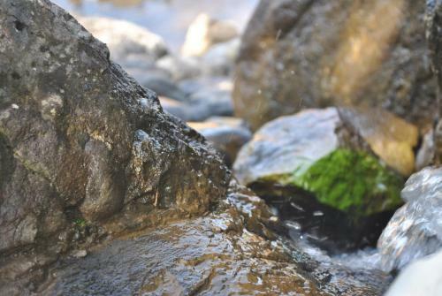 Talistan Forest Park