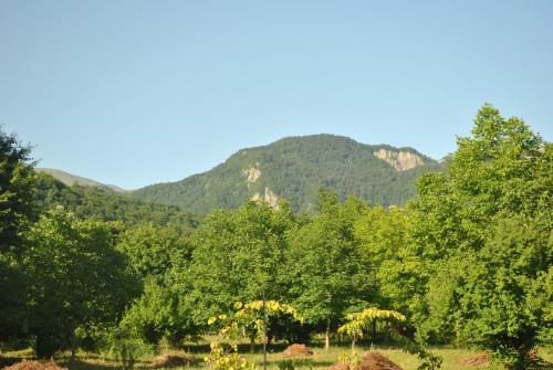 Talistan Forest Park