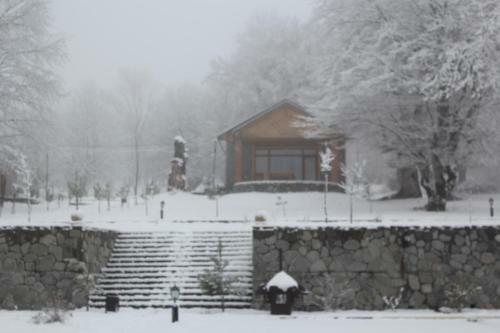 Talistan Forest Park
