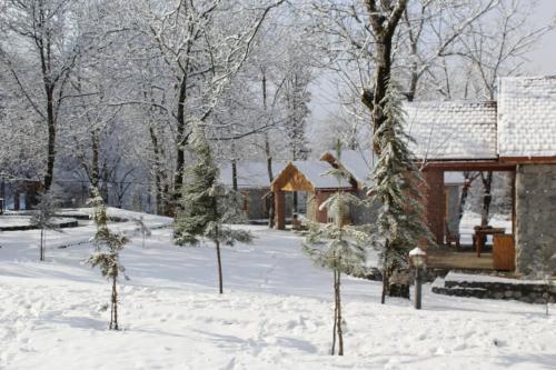 Talistan Forest Park