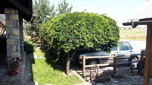 Bed & Breakfast Konoba Ognji?te