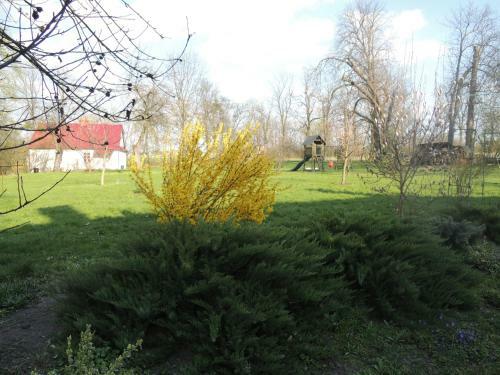 Hostal Dw�r Udrycze