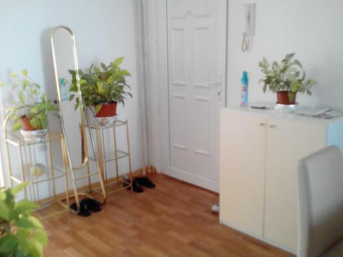 Apartment Alipa?ino