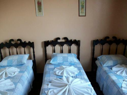 Canopus Hotel Ltda