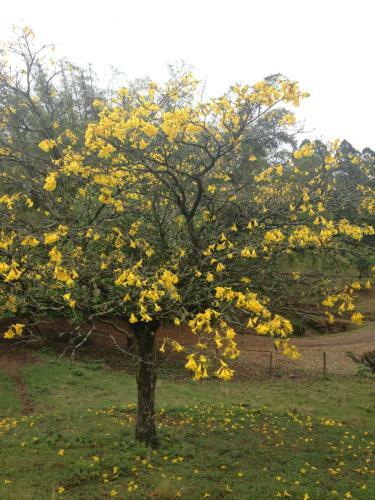Casa De Campo,s�tio,vale Europeu-sc