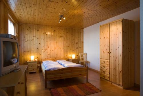 Hotel Aletschhorn