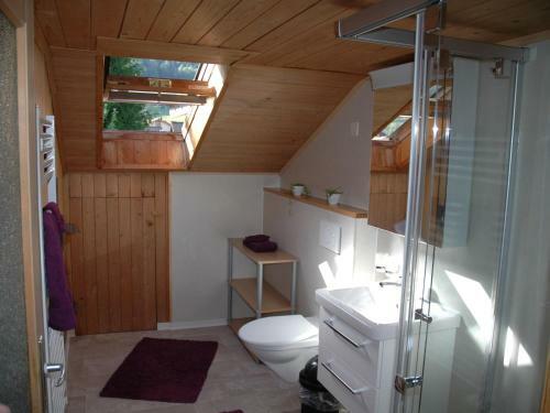 Spacious Apartment In Frutigen With Garden
