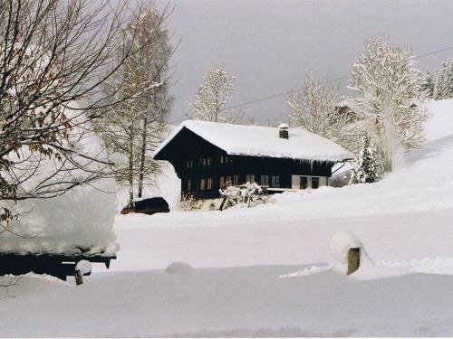 Apartment Aerneli, Chalet
